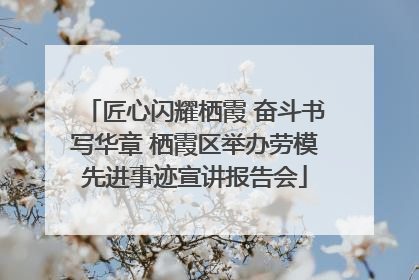 匠心闪耀栖霞 奋斗书写华章 栖霞区举办劳模先进事迹宣讲报告会