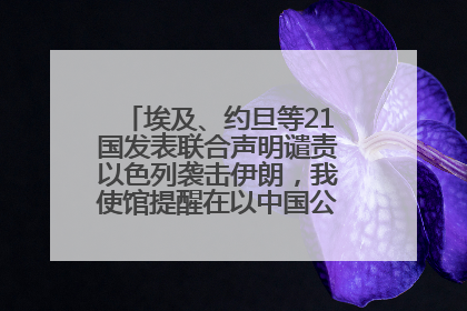 埃及、约旦等21国发表联合声明谴责以色列袭击伊朗，我使馆提醒在以中国公民尽快陆路离境