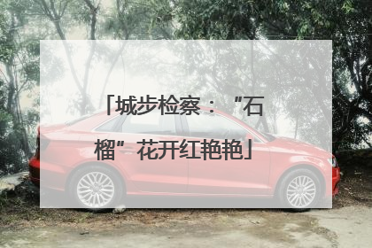 城步检察：“石榴”花开红艳艳