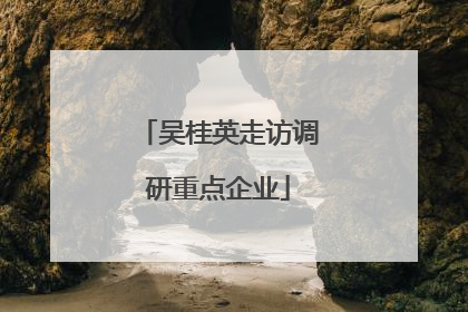 吴桂英走访调研重点企业