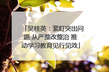 吴桂英：紧盯突出问题 从严整改整治 推动学习教育见行见效