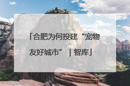 合肥为何投建“宠物友好城市”｜智库