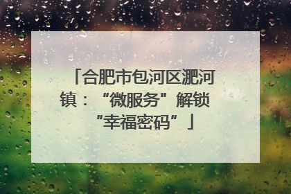 合肥市包河区淝河镇：“微服务”解锁“幸福密码”