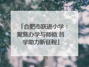 合肥市跃进小学：聚焦办学与师德 督学助力新征程