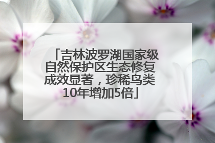 吉林波罗湖国家级自然保护区生态修复成效显著，珍稀鸟类10年增加5倍