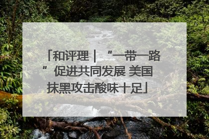 和评理｜“一带一路”促进共同发展 美国抹黑攻击酸味十足