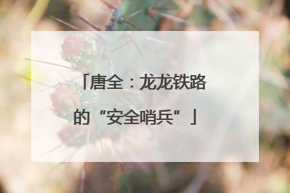 唐全：龙龙铁路的“安全哨兵”