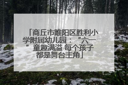 商丘市睢阳区胜利小学附属幼儿园：“六一”童趣满溢 每个孩子都是舞台主角