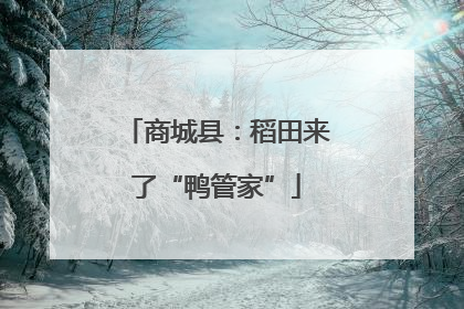 商城县：稻田来了“鸭管家”