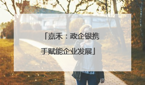 嘉禾：政企银携手赋能企业发展