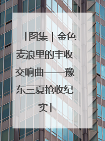 图集｜金色麦浪里的丰收交响曲——豫东三夏抢收纪实