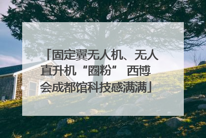 固定翼无人机、无人直升机“圈粉” 西博会成都馆科技感满满