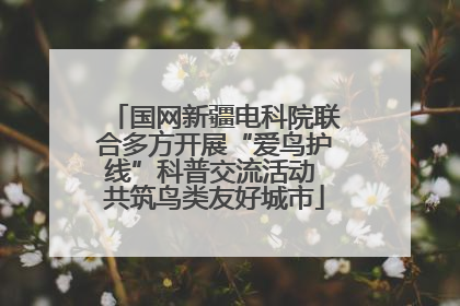国网新疆电科院联合多方开展“爱鸟护线”科普交流活动 共筑鸟类友好城市