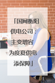 国网衡阳供电公司：主变增容 为度夏供电添保障