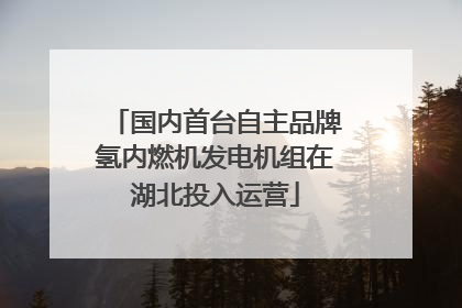 国内首台自主品牌氢内燃机发电机组在湖北投入运营