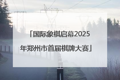 国际象棋启幕2025年郑州市首届棋牌大赛