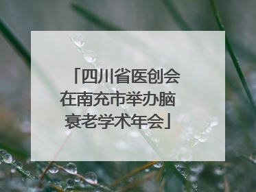 四川省医创会在南充市举办脑衰老学术年会