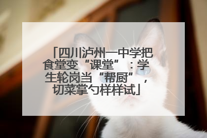 四川泸州一中学把食堂变“课堂”：学生轮岗当“帮厨”，切菜掌勺样样试