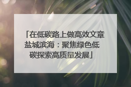 在低碳路上做高效文章 盐城滨海：聚焦绿色低碳探索高质量发展
