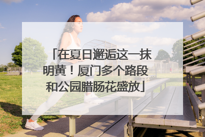在夏日邂逅这一抹明黄！厦门多个路段和公园腊肠花盛放