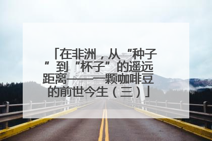 在非洲，从“种子”到“杯子”的遥远距离——一颗咖啡豆的前世今生（三）
