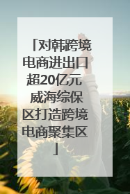 对韩跨境电商进出口超20亿元 威海综保区打造跨境电商聚集区