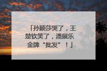 孙颖莎哭了，王楚钦笑了，潘展乐金牌“批发”！
