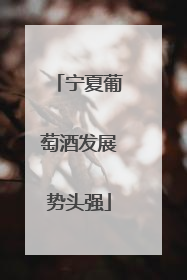 宁夏葡萄酒发展势头强