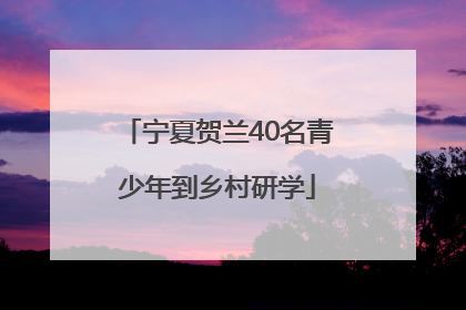 宁夏贺兰40名青少年到乡村研学