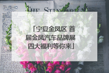 宁夏金凤区 首届金凤汽车品牌展四大福利等你来