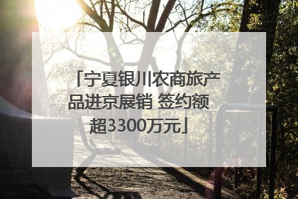 宁夏银川农商旅产品进京展销 签约额超3300万元