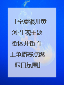 宁夏银川黄河·牛魂主题街区开街 牛王争霸赛点燃假日氛围