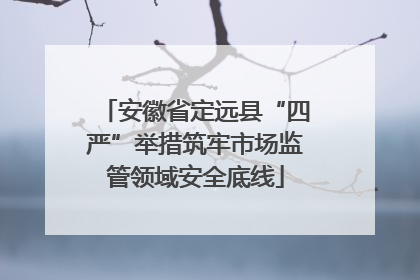 安徽省定远县“四严”举措筑牢市场监管领域安全底线