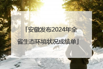 安徽发布2024年全省生态环境状况成绩单