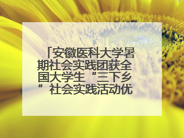安徽医科大学暑期社会实践团获全国大学生“三下乡”社会实践活动优秀团队