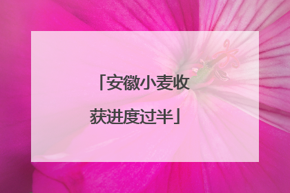 安徽小麦收获进度过半