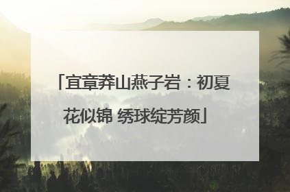宜章莽山燕子岩：初夏花似锦 绣球绽芳颜
