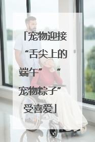 宠物迎接“舌尖上的端午” “宠物粽子”受喜爱