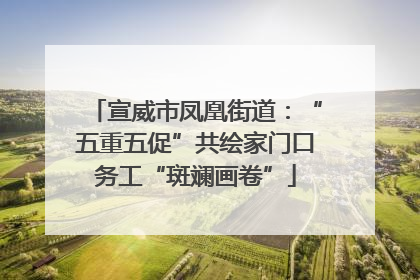 宣威市凤凰街道：“五重五促”共绘家门口务工“斑斓画卷”