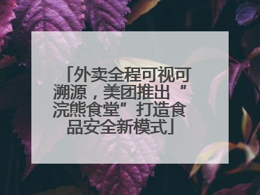 外卖全程可视可溯源，美团推出“浣熊食堂”打造食品安全新模式