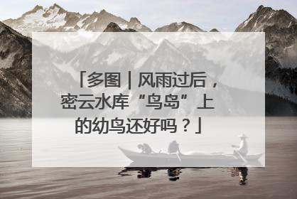 多图｜风雨过后，密云水库“鸟岛”上的幼鸟还好吗？
