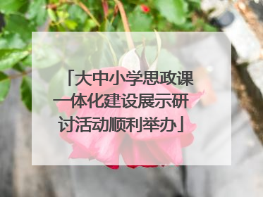 大中小学思政课一体化建设展示研讨活动顺利举办