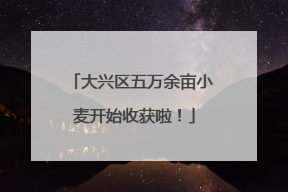 大兴区五万余亩小麦开始收获啦！