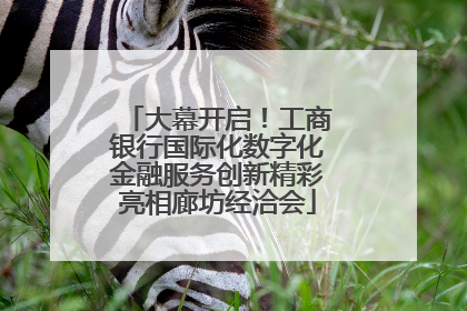 大幕开启！工商银行国际化数字化金融服务创新精彩亮相廊坊经洽会