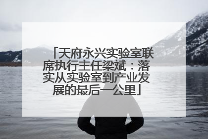 天府永兴实验室联席执行主任梁斌：落实从实验室到产业发展的最后一公里