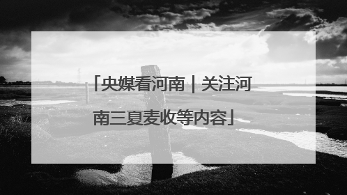 央媒看河南｜关注河南三夏麦收等内容