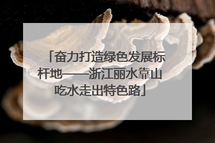 奋力打造绿色发展标杆地——浙江丽水靠山吃水走出特色路