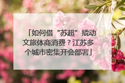 如何借“苏超”撬动文旅体商消费？江苏多个城市密集开会部署