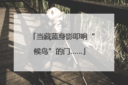 当藏蓝身影叩响“候鸟”的门……