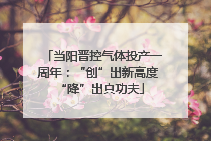 当阳晋控气体投产一周年：“创”出新高度 “降”出真功夫